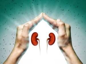 Kidney Kudrah herbaceuticals